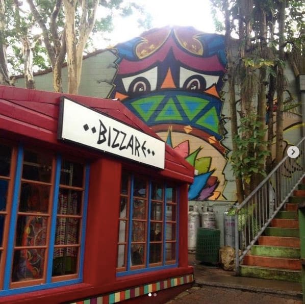 Photo of Kuranda Rainforest at Mona Mona, Mareeba Shire, Queensland, Australia