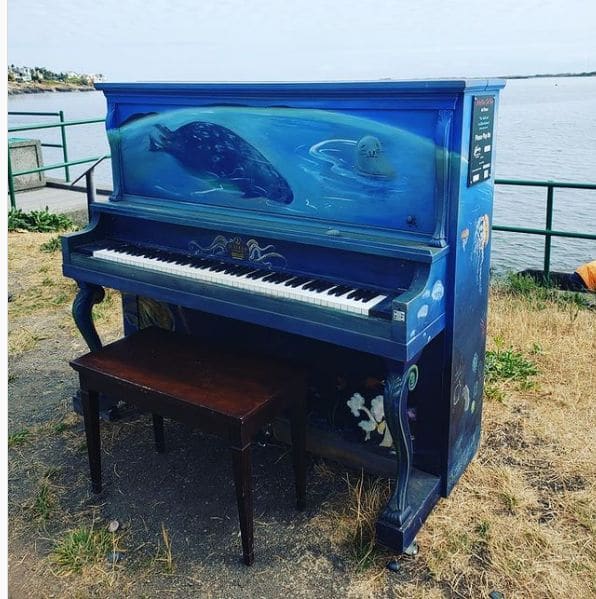 Photo of McNeill Bay Beach at Glenlyon Norfolk School - Pemberton Woods Campus, Maddison Street, Gonzales, Victoria, Capital Regional District, British Columbia, V8R 1E1, Canada