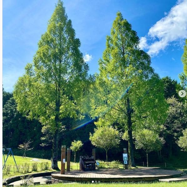 Photo of 四万十緑林公園 at Kagetsugaoka, Shimanto, Takaoka County, Kochi Prefecture, 786-0005, Japan