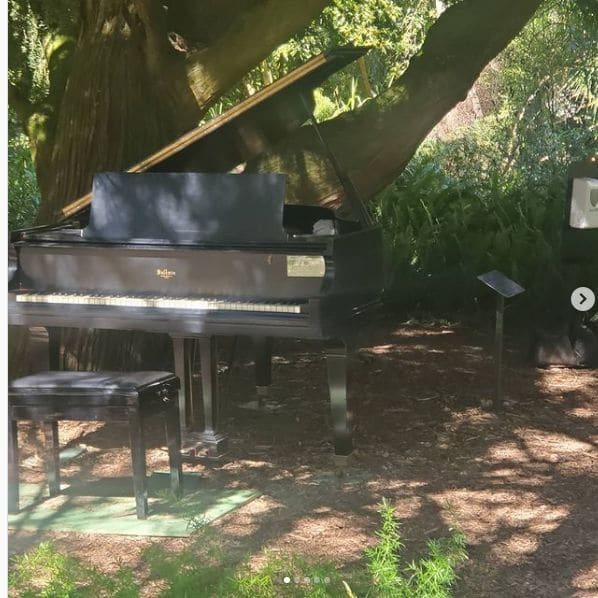 Photo of Golden Gate Park at 30, Stow Lake Drive, Inner Sunset, San Francisco, California, 94122, United States