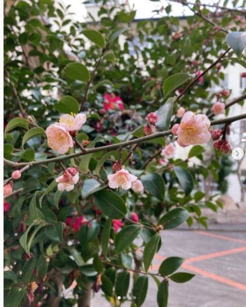 Photo of 岡山県立玉野光南高等学校 at 県立玉野光南高等学校, 山田槌ヶ原線, 東七区, Tamano, Okayama Prefecture, 706-0224, Japan