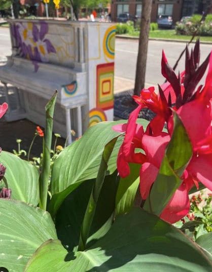 Photo of Downtown Fort Collins at Thamel Import Gift Shop, 19, Old Town Square, Fort Collins, Larimer County, Colorado, 80524, United States
