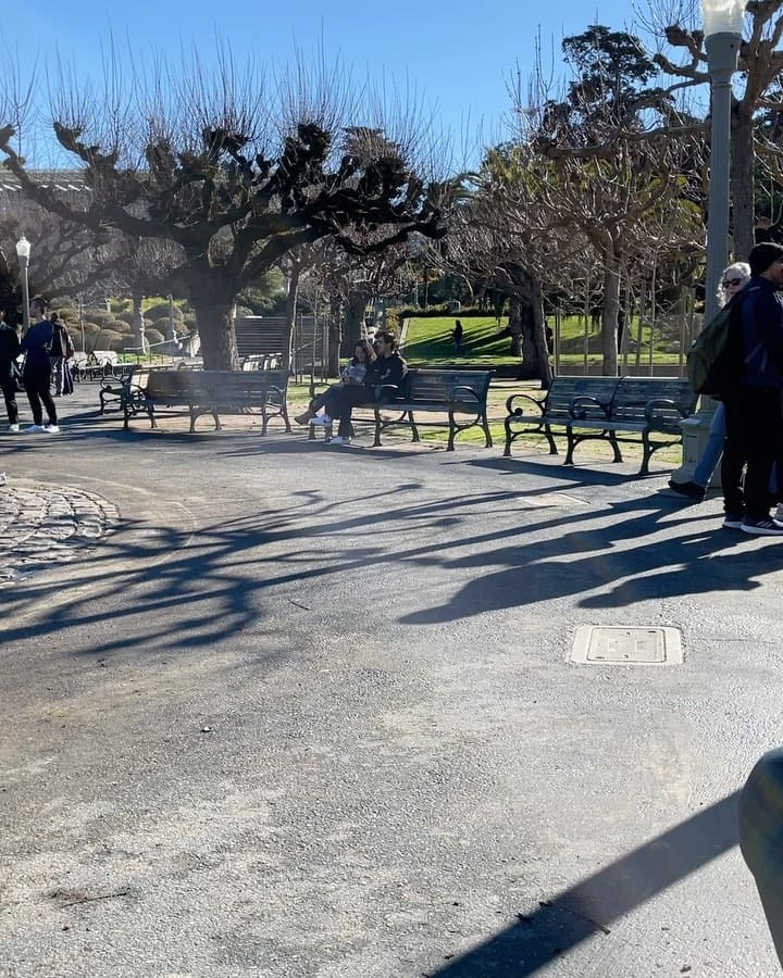 Photo of Golden Gate Park at 30, Stow Lake Drive, Inner Sunset, San Francisco, California, 94122, United States. Notifications157
