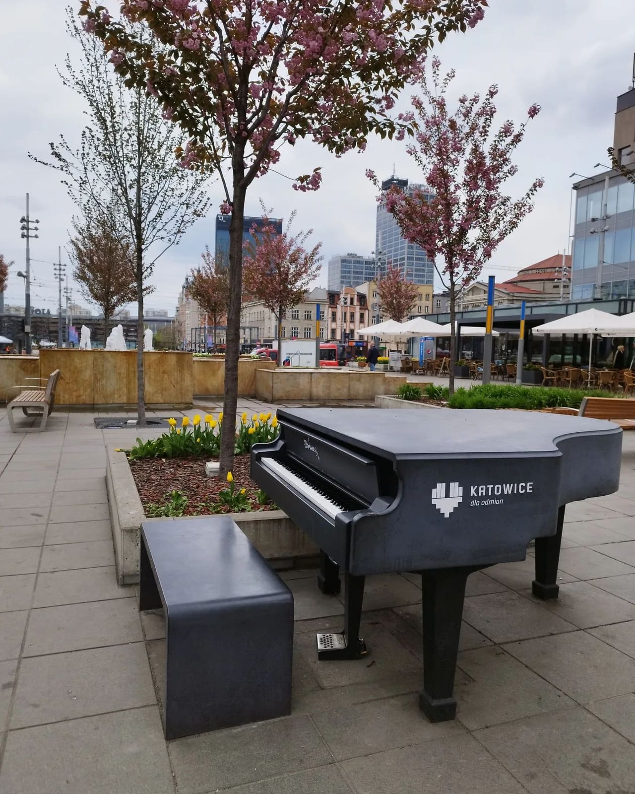 Photo of Katowice Rynek at 16, 3 Maja, Śródmieście, Katowice, Górnośląsko-Zagłębiowska Metropolia, Silesian Voivodeship, 40-096, Poland. Notifications157