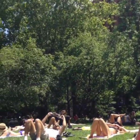 Photo of Washington Square Park at Washington Square Fountain, Washington Square South, Washington Square Village, Manhattan Community Board 2, Manhattan, New York County, New…